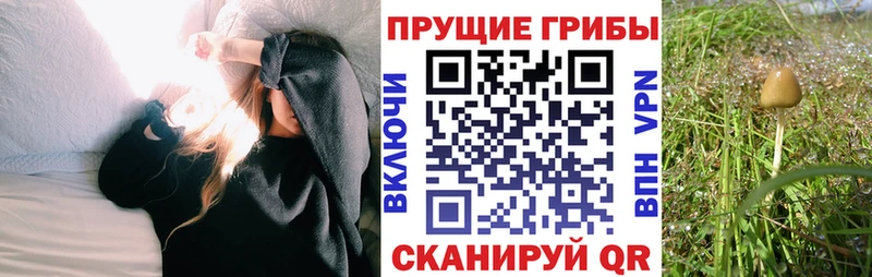 Псилоцибиновые грибы мухоморы  мориарти Telegram  Данилов 